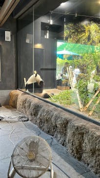 恩賜上野動物園に投稿された画像（2025/8/14）