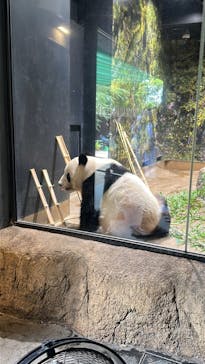 恩賜上野動物園に投稿された画像（2025/8/14）