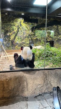 恩賜上野動物園に投稿された画像（2025/8/14）