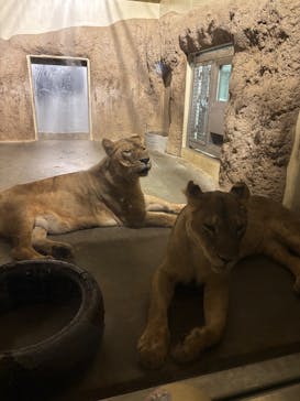 日立市かみね動物園に投稿された画像（2025/8/14）