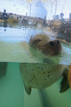 城崎マリンワールドに投稿された画像（2025/8/14）