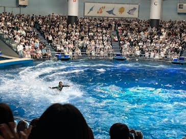 マクセル アクアパーク品川に投稿された画像（2025/8/14）