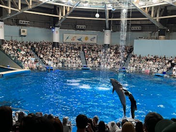 マクセル アクアパーク品川に投稿された画像（2025/8/14）