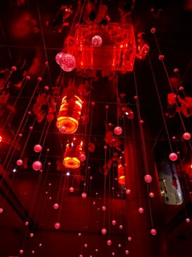 マクセル アクアパーク品川に投稿された画像（2025/8/14）