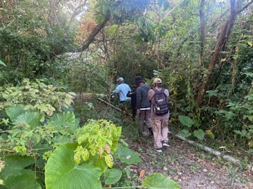 okinawa.nature.ashibi堂（オキナワネイチャーアシビドウ）に投稿された画像（2025/8/14）