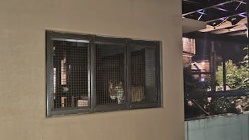 日立市かみね動物園に投稿された画像（2025/8/14）