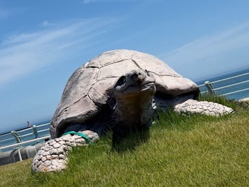 アクアワールド茨城県大洗水族館に投稿された画像（2025/8/14）