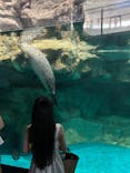 アクアワールド茨城県大洗水族館に投稿された画像（2025/8/14）