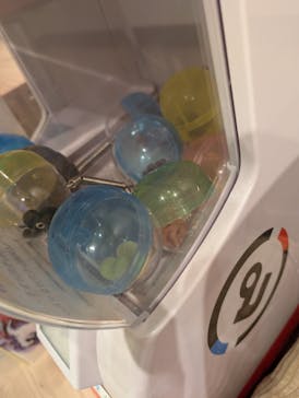 いぬカフェRio 富士見店に投稿された画像（2025/8/14）