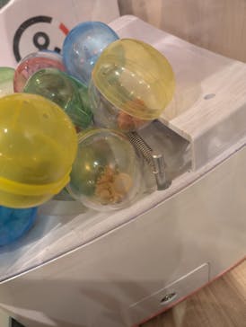 いぬカフェRio 富士見店に投稿された画像（2025/8/14）