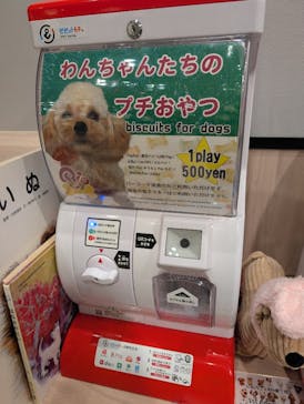 いぬカフェRio 富士見店に投稿された画像（2025/8/14）