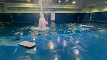 島根県立 しまね海洋館に投稿された画像（2025/8/14）