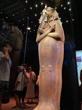 ACN ラムセス大王展 ファラオたちの黄金に投稿された画像（2025/8/14）