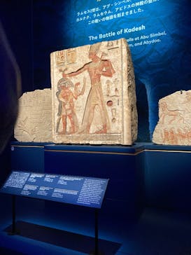 ACN ラムセス大王展 ファラオたちの黄金に投稿された画像（2025/8/14）