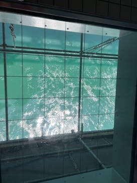 徳島県立 渦の道に投稿された画像（2025/8/14）