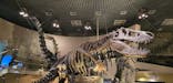 国立科学博物館に投稿された画像（2025/8/14）