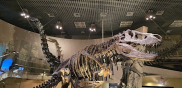 国立科学博物館に投稿された画像（2025/8/14）