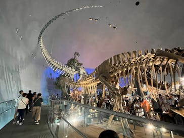 福井県立恐竜博物館に投稿された画像（2025/8/14）