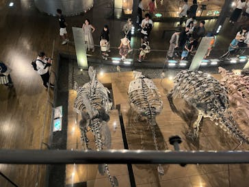 福井県立恐竜博物館に投稿された画像（2025/8/14）