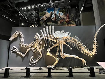 福井県立恐竜博物館に投稿された画像（2025/8/14）