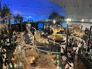 福井県立恐竜博物館に投稿された画像（2025/8/14）