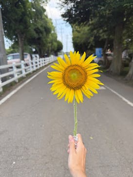 成田ゆめ牧場に投稿された画像（2025/8/14）