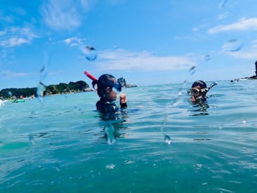 Diving ショップKiaoraに投稿された画像（2025/8/14）