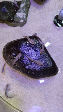 南知多ビーチランド＆南知多おもちゃ王国に投稿された画像（2025/8/14）