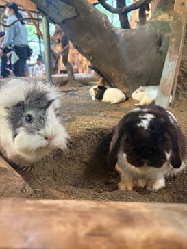 長崎バイオパークに投稿された画像（2025/8/14）