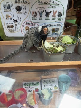 長崎バイオパークに投稿された画像（2025/8/14）