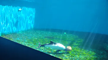 仙台うみの杜水族館に投稿された画像（2025/8/14）