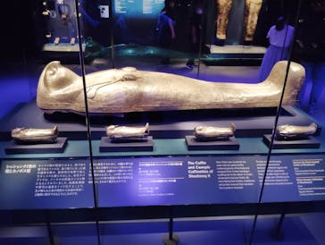 ACN ラムセス大王展 ファラオたちの黄金に投稿された画像（2025/8/14）