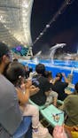 名古屋港水族館に投稿された画像（2025/8/15）