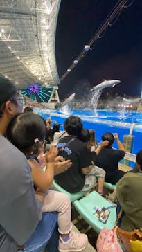 名古屋港水族館に投稿された画像（2025/8/14）