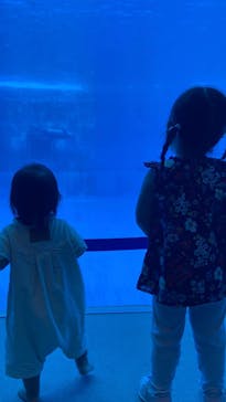 名古屋港水族館に投稿された画像（2025/8/14）