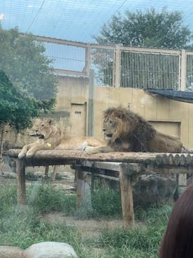 東武動物公園に投稿された画像（2025/8/14）