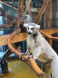 秋田市大森山動物園に投稿された画像（2025/8/14）