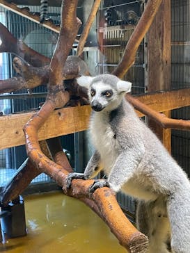 秋田市大森山動物園に投稿された画像（2025/8/14）