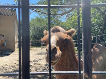 秋田市大森山動物園に投稿された画像（2025/8/14）