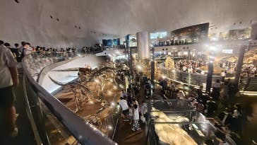 福井県立恐竜博物館に投稿された画像（2025/8/14）