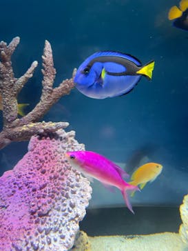 サンシャイン水族館に投稿された画像（2025/8/14）