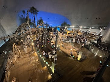 福井県立恐竜博物館に投稿された画像（2025/8/14）