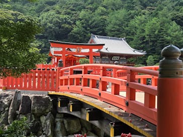 勝尾寺に投稿された画像（2025/8/14）