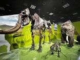 特別展「氷河期展 〜人類が見た4万年前の世界〜」（国立科学博物館）に投稿された画像（2025/8/15）