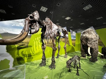 特別展「氷河期展 〜人類が見た4万年前の世界〜」（国立科学博物館）に投稿された画像（2025/8/14）