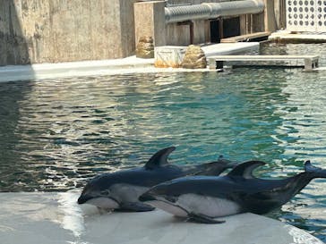 城崎マリンワールドに投稿された画像（2025/8/14）