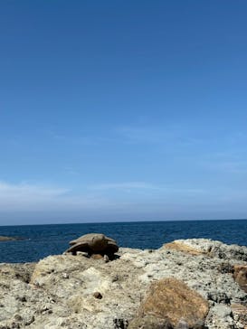 城崎マリンワールドに投稿された画像（2025/8/14）