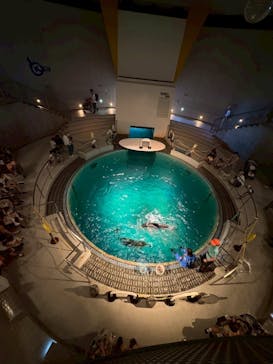 城崎マリンワールドに投稿された画像（2025/8/14）