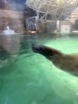 城崎マリンワールドに投稿された画像（2025/8/14）