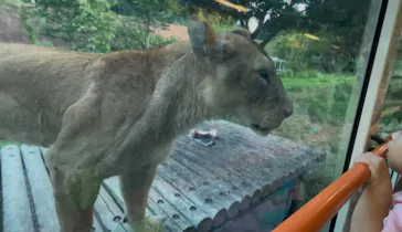 多摩動物公園に投稿された画像（2025/8/14）